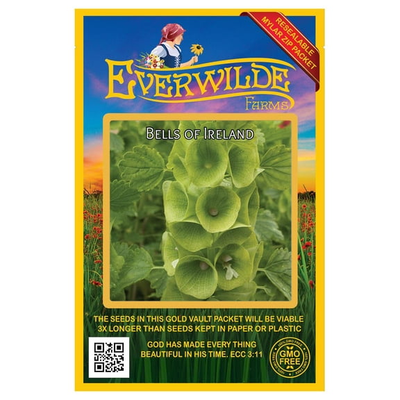 Everwilde Farms - 100 Bells of Ireland Garden Flower Seeds - Gold Vault Jumbo Bulk Seed Packet