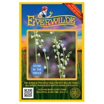 Everwilde Farms - 100 Bishop's Cap Native Wildflower Seeds - Gold Vault Seed Packet