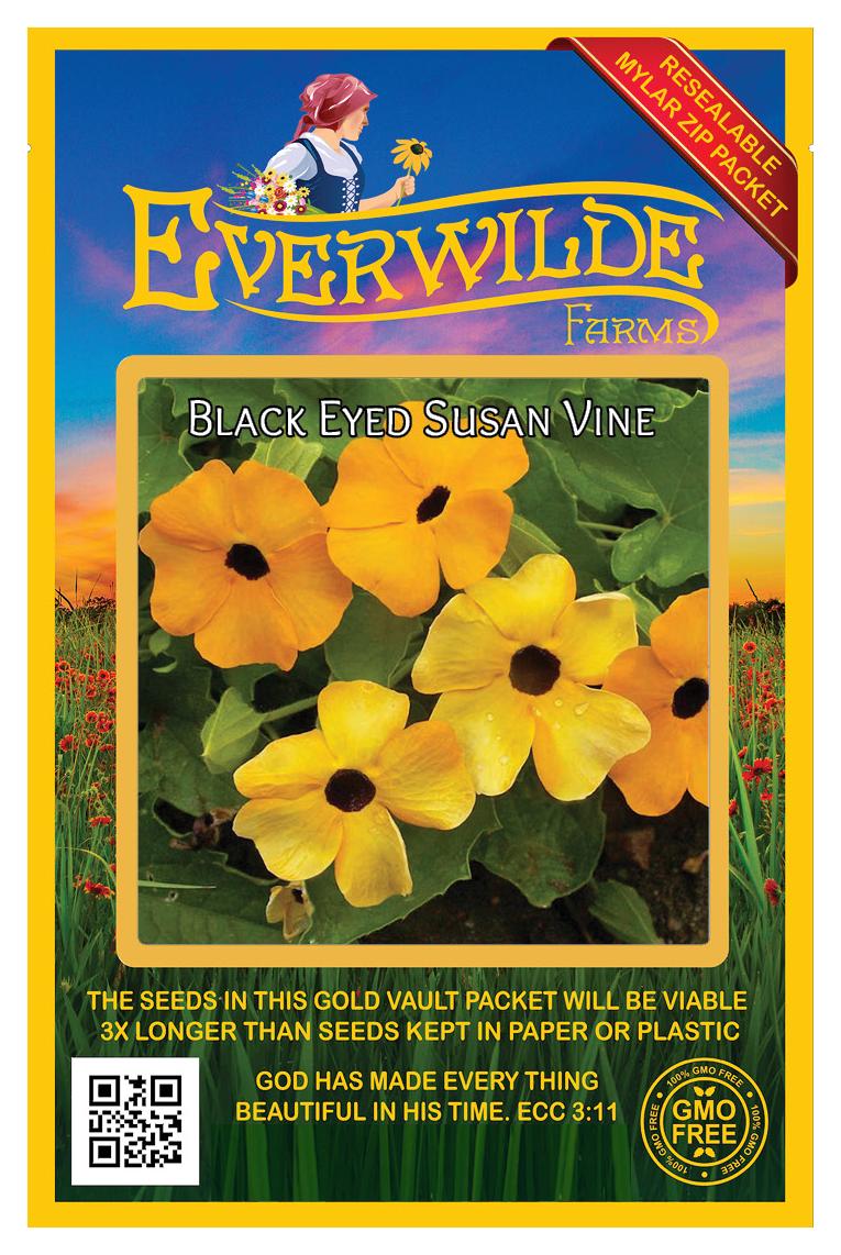 Everwilde Farms - 100 Black Eyed Susan Vine Garden Flower Seeds - Gold Vault Jumbo Bulk Seed Packet - image 1 of 5