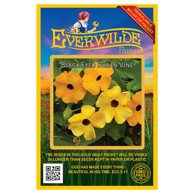 Everwilde Farms - 100 Black Eyed Susan Vine Garden Flower Seeds - Gold Vault Jumbo Bulk Seed Packet