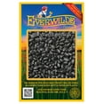 thumbnail image 1 of Everwilde Farms - 100 Black Turtle Dry Bean Seeds - Gold Vault Jumbo Bulk Seed Packet, 1 of 5