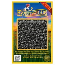 Everwilde Farms - 100 Black Turtle Dry Bean Seeds - Gold Vault Jumbo Bulk Seed Packet