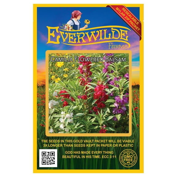 Everwilde Farms - 100 Camilia Flowered Mixed Balsam Garden Flower Seeds - Gold Vault Jumbo Bulk Seed Packet