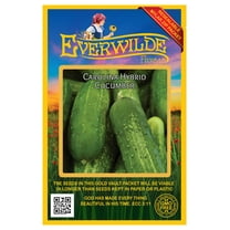 Everwilde Farms - 100 Carolina F1 Hybrid Cucumber Seeds - Gold Vault Jumbo Bulk Seed Packet