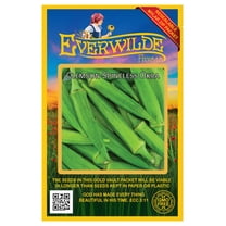 Everwilde Farms - 100 Clemson Spineless Okra Seeds - Gold Vault Jumbo Bulk Seed Packet