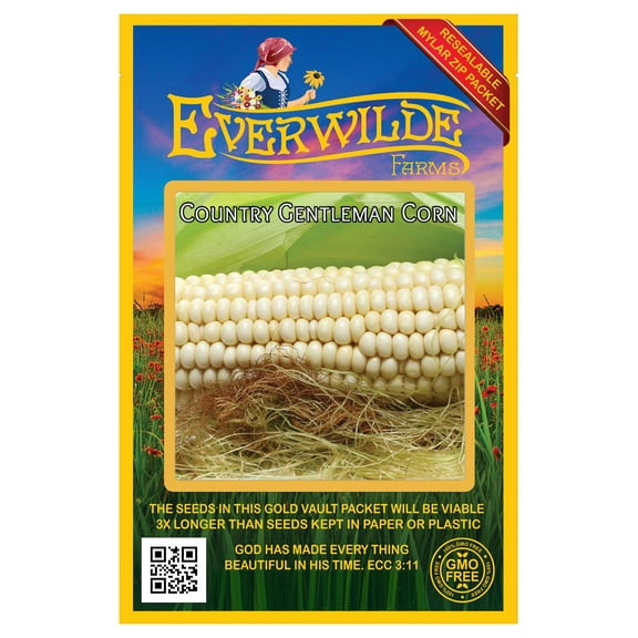 Everwilde Farms - 100 Country Gentlman Sweet Corn Seeds - Gold Vault Jumbo Bulk Seed Packet