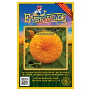 Everwilde Farms - 100 Dwarf Sungold Sunflower Garden Flower Seeds - Gold Vault Jumbo Bulk Seed Packet