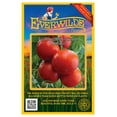 thumbnail image 1 of Everwilde Farms - 100 Floridade Heirloom Tomato Seeds - Gold Vault Jumbo Bulk Seed Packet, 1 of 5