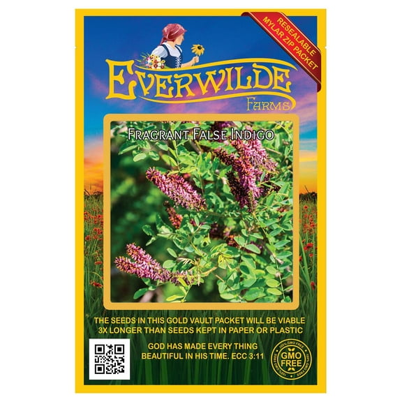 Everwilde Farms - 200 Fragrant False Indigo Native Wildflower Seeds - Gold Vault Seed Packet