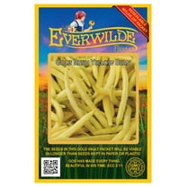 Everwilde Farms - 100 Gold Rush Yellow Bean Seeds - Gold Vault Jumbo Bulk Seed Packet