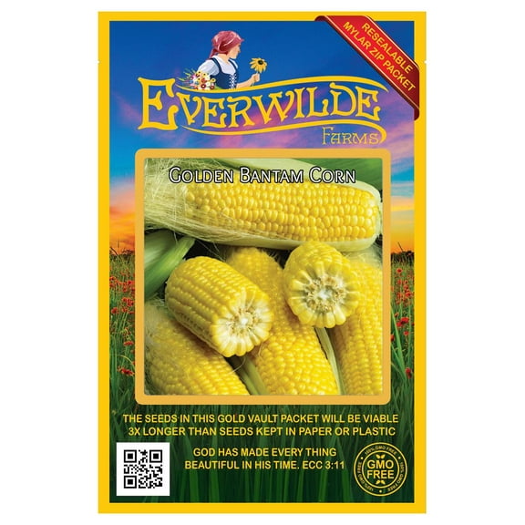 Everwilde Farms - 100 Golden Bantam Sweet Corn Seeds - Gold Vault Jumbo Bulk Seed Packet