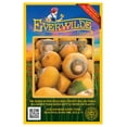 thumbnail image 1 of Everwilde Farms - 100 Golden Globe Turnip Seeds - Gold Vault Jumbo Bulk Seed Packet, 1 of 5