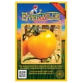 thumbnail image 1 of Everwilde Farms - 100 Golden Jubilee Heirloom Tomato Seeds - Gold Vault Jumbo Bulk Seed Packet, 1 of 5