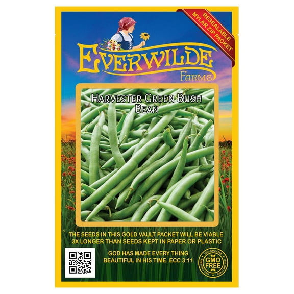 Everwilde Farms - 100 Harvester Green Bush Bean Seeds - Gold Vault Jumbo Bulk Seed Packet