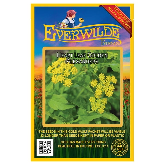 Everwilde Farms - 100 Heart-Leaf Golden Alexanders Native Wildflower Seeds - Gold Vault Seed Packet