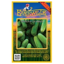 Everwilde Farms - 100 Marketer Cucumber Seeds - Gold Vault Jumbo Bulk Seed Packet