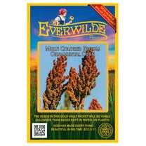 Everwilde Farms - 100 Multi Colored Broom Ornamental Corn Seeds - Gold Vault Jumbo Bulk Seed Packet