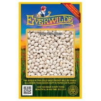 Everwilde Farms - 100 Navy Dry Bean Seeds - Gold Vault Jumbo Bulk Seed Packet