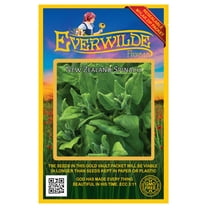 Everwilde Farms - 100 New Zealand Spinach Seeds - Gold Vault Jumbo Bulk Seed Packet
