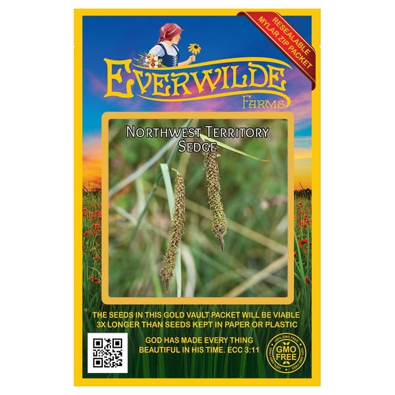 Everwilde Farms - 100 Northwest Territory Sedge Native Grass Seeds - Gold Vault Seed Packet