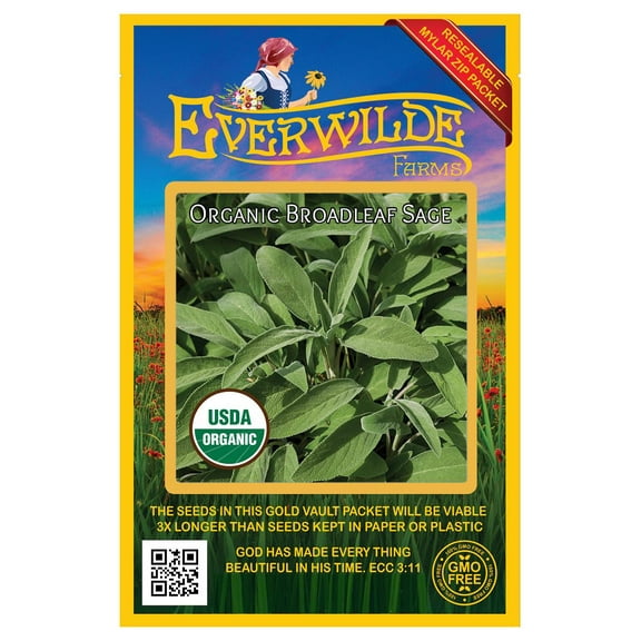 Everwilde Farms - 100 Organic Broadleaf Sage Herb Seeds - Gold Vault Jumbo Bulk Seed Packet