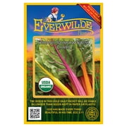 Everwilde Farms - 100 Organic Rainbow Swiss Chard Seeds - Gold Vault Jumbo Bulk Seed Packet