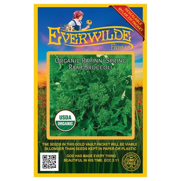 Everwilde Farms - 100 Organic Rapinni Spring Raab Broccoli Seeds - Gold Vault Jumbo Bulk Seed Packet
