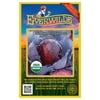 Everwilde Farms - 100 Organic Red Express Cabbage Seeds