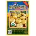 thumbnail image 1 of Everwilde Farms - 100 Organic Yellow Cipollini Onion Seeds - Gold Vault Jumbo Bulk Seed Packet, 1 of 5