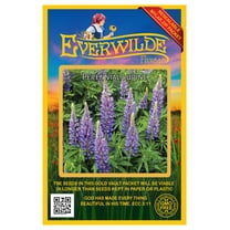 Everwilde Farms 100 Perennial Lupine Flower Seeds, Violet-Blue