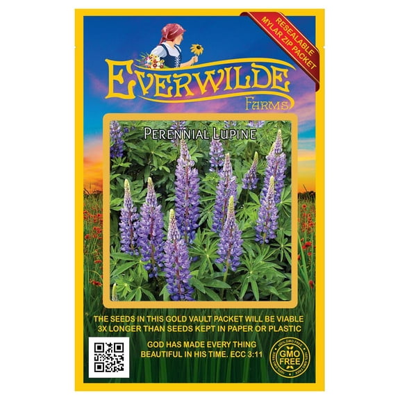 Everwilde Farms 100 Perennial Lupine Flower Seeds, Violet-Blue