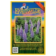 Everwilde Farms - 100 Perennial Lupine Garden Flower Seeds - Gold Vault Jumbo Bulk Seed Packet