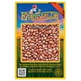 thumbnail image 1 of Everwilde Farms - 100 Pinto Dry Bean Seeds - Gold Vault Jumbo Bulk Seed Packet, 1 of 5