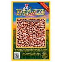 Everwilde Farms - 100 Pinto Dry Bean Seeds - Gold Vault Jumbo Bulk Seed Packet