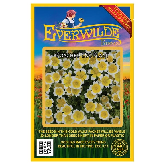Everwilde Farms - 100 Poached Egg Plant Native Wildflower Seeds - Gold Vault Seed Packet