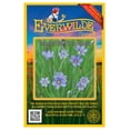 thumbnail image 1 of Everwilde Farms - 100 Prairie Blue-Eyed Grass Native Wildflower Seeds - Gold Vault Seed Packet, 1 of 5