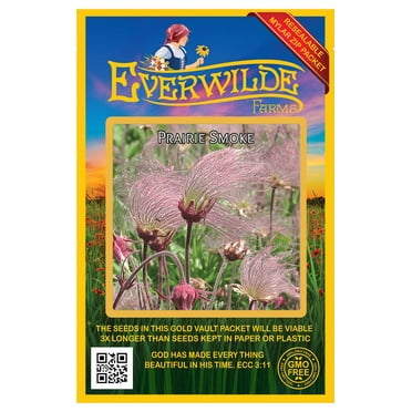 Everwilde Farms - 100 Prairie Smoke Native Wildflower Seeds - Gold Vault Seed Packet