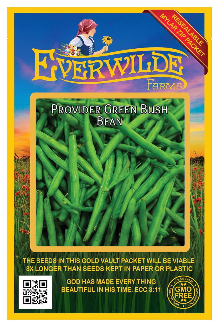 Everwilde Farms 100 Provider Green Bush Bean Seeds Gold Vault Jumbo