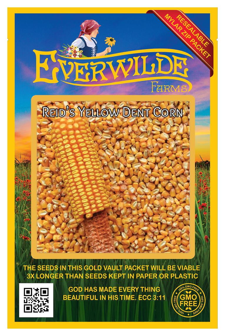 Everwilde Farms 100 Reids Yellow Dent Corn Seeds Gold Vault Jumbo Bulk Seed Packet