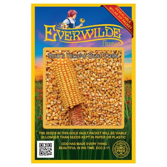 Everwilde Farms - 100 Reids Yellow Dent Corn Seeds - Gold Vault Jumbo Bulk Seed Packet