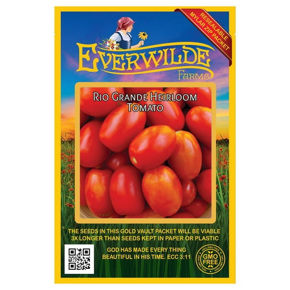Everwilde Farms - 100 Rio Grande Heirloom Tomato Seeds - Gold Vault Jumbo Bulk Seed Packet