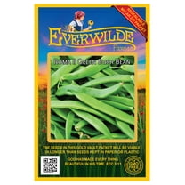 Everwilde Farms - 100 Roma II Green Bush Bean Seeds - Gold Vault Jumbo Bulk Seed Packet