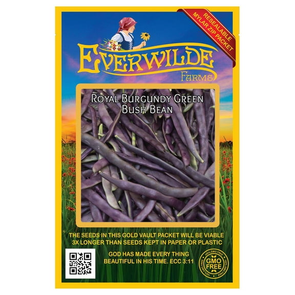 Everwilde Farms - 100 Royal Burgundy Green Bush Bean Seeds - Gold Vault Jumbo Bulk Seed Packet