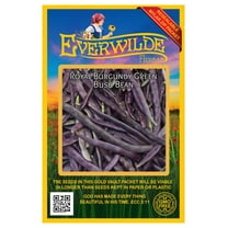 Everwilde Farms - 100 Royal Burgundy Green Bush Bean Seeds - Gold Vault Jumbo Bulk Seed Packet