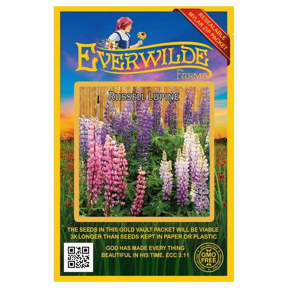 Everwilde Farms - 100 Russell Lupine Native Wildflower Seeds - Gold Vault Jumbo Bulk Seed Packet