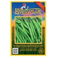 thumbnail image 1 of Everwilde Farms - 100 Slenderette Green Bush Bean Seeds - Gold Vault Jumbo Bulk Seed Packet, 1 of 4