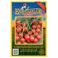 thumbnail image 1 of Everwilde Farms - 100 Small Red Cherry Heirloom Tomato Seeds - Gold Vault Jumbo Bulk Seed Packet, 1 of 5