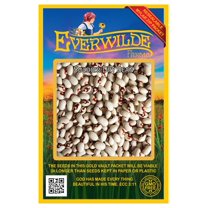 Everwilde Farms - 100 Soldier Dry Bean Seeds - Gold Vault Jumbo Bulk Seed Packet
