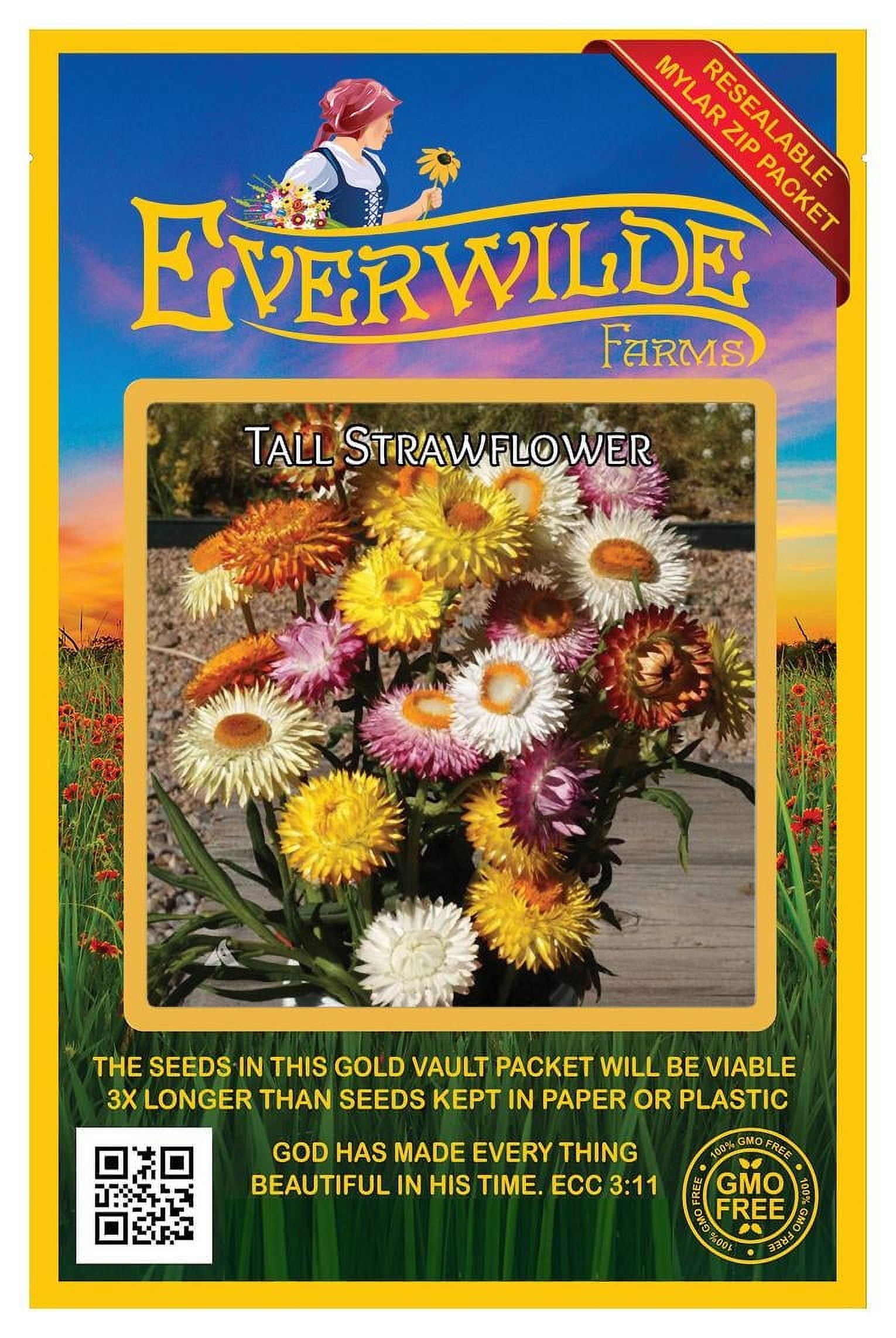 Everwilde Farms 100 Gold Vault Jumbo Strawflower Seeds for Planting