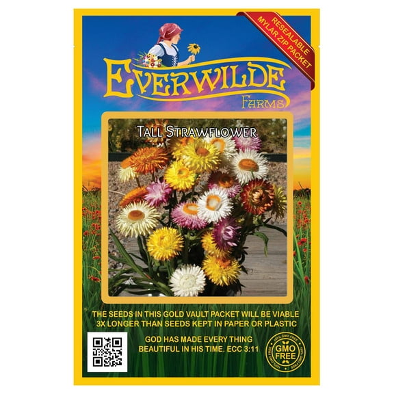 Everwilde Farms - 100 Strawflower Wildflower Seeds - Gold Vault Seed Packet